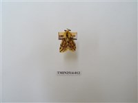 藏品(碎斑黃東燈蛾)的圖片